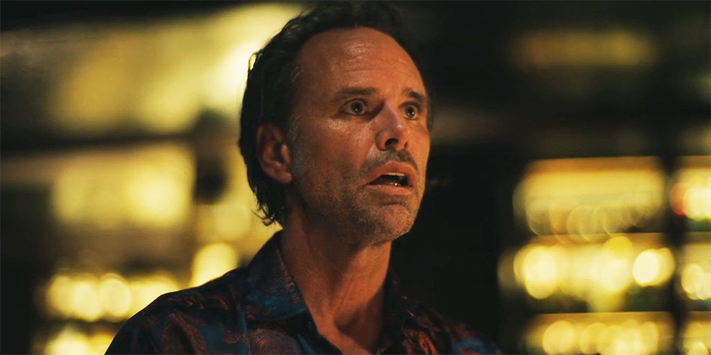 SNL: Walton Goggins Takes On Obsessive White Lotus Fan Theories SNL: Walton Goggins Takes On Obsessive White Lotus Fan Theories