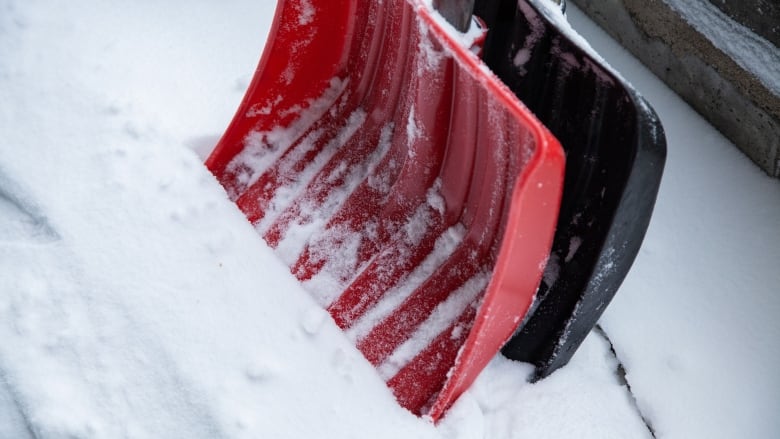 Snowfall Warning Issued For Parts Of Western Manitoba Snowfall Warning Issued For Parts Of Western Manitoba