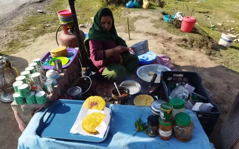 Social Media Frenzy: Kashmiri Cat Owners On High Alert Social Media Frenzy: Kashmiri Cat Owners On High Alert