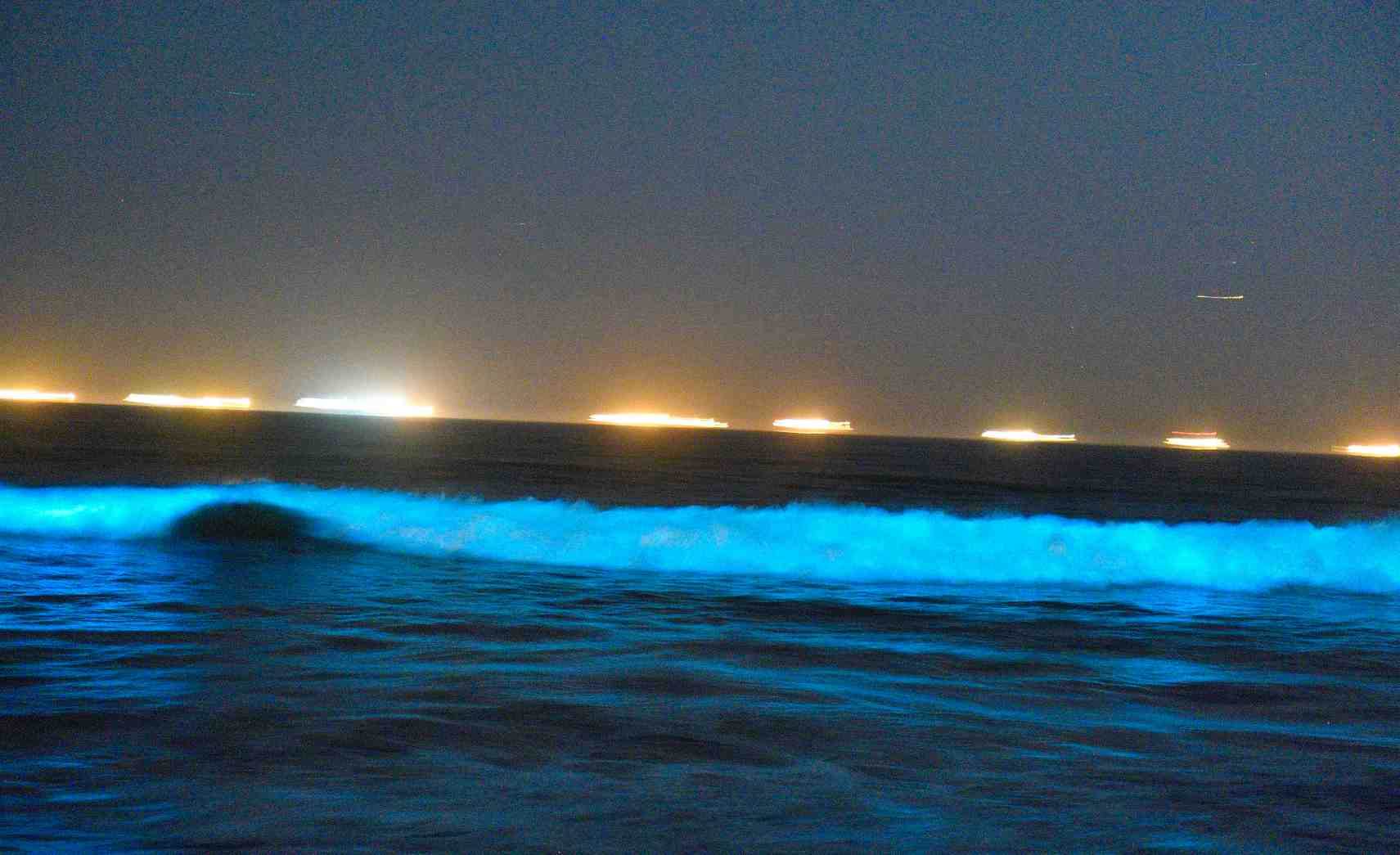 Spring And Fall: Best Times For Bioluminescent Waves In Southern California Spring And Fall: Best Times For Bioluminescent Waves In Southern California