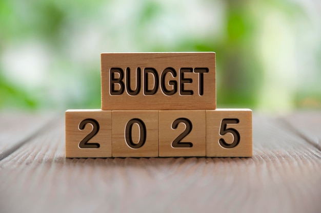 Spring Budget Update: Public Sentiment And Government Plans Spring Budget Update: Public Sentiment And Government Plans