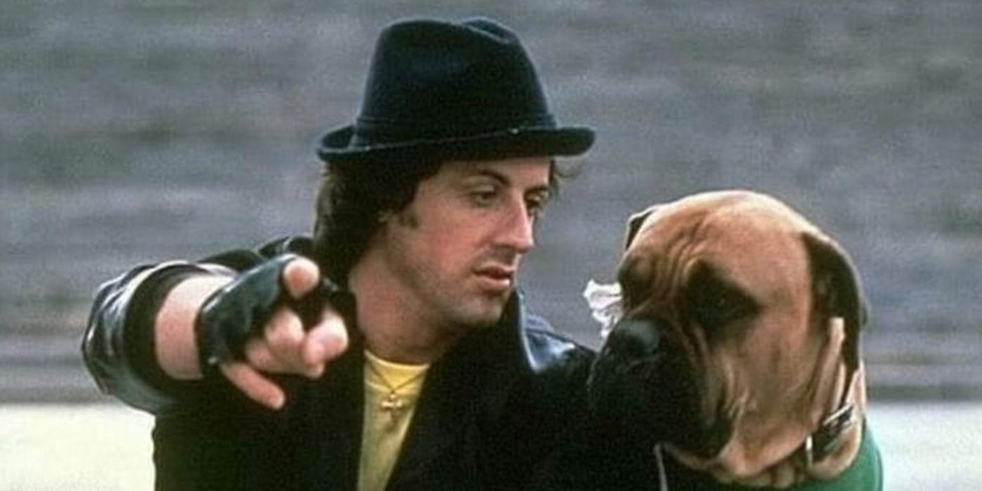 Stallone's Pick: The Most Emotional Rocky Movie Stallone's Pick: The Most Emotional Rocky Movie