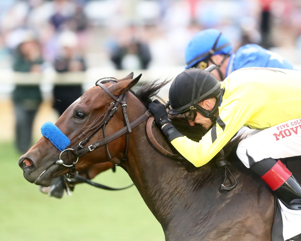 Stone's Upcoming Announcement: Virginia Derby At Colonial Downs Stone's Upcoming Announcement: Virginia Derby At Colonial Downs