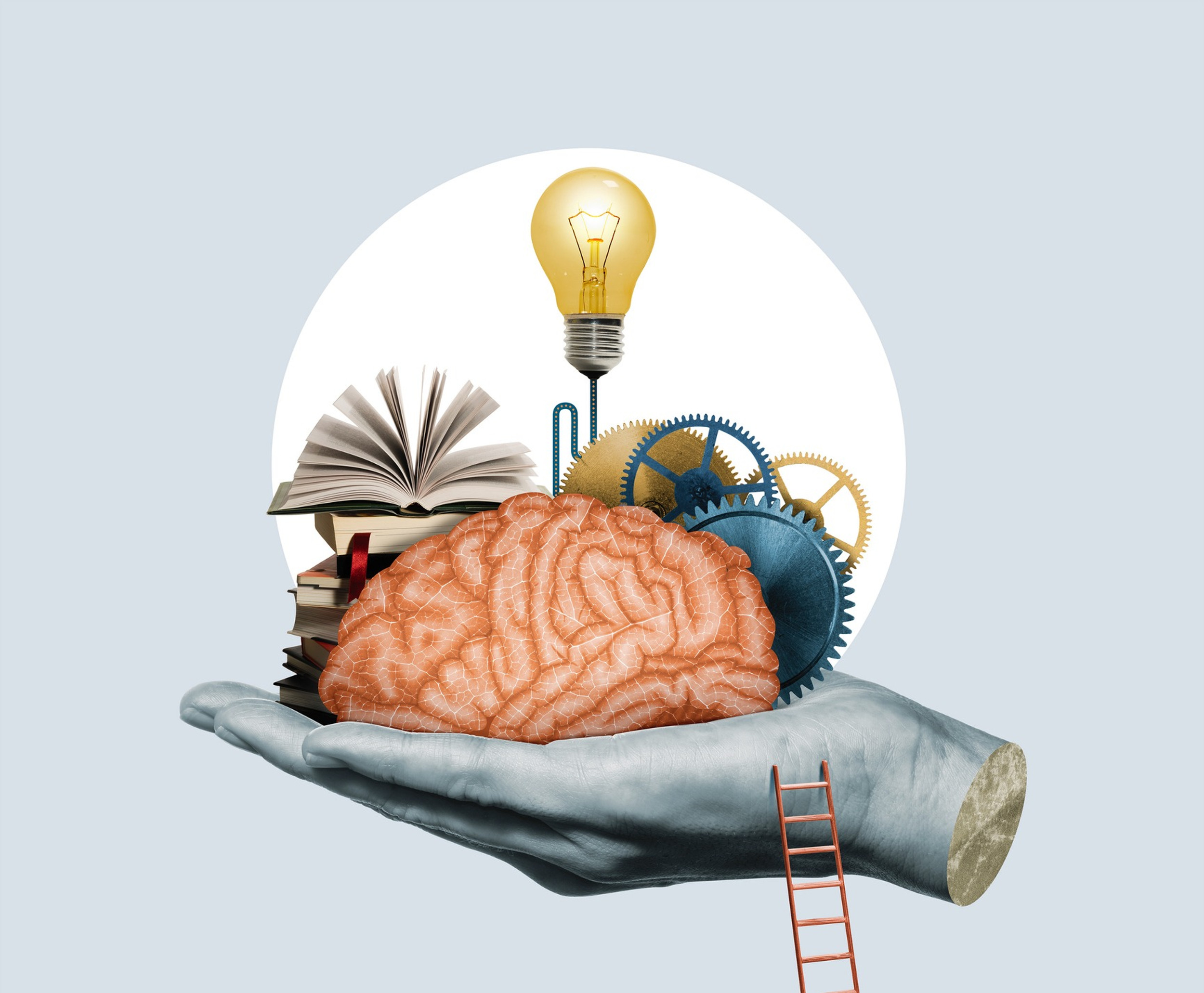 Strategies For Enhancing Mental Health Literacy Education Programs Strategies For Enhancing Mental Health Literacy Education Programs