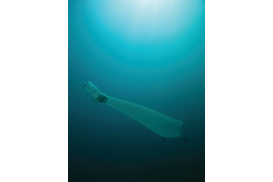 Studio Sulla Distribuzione Delle Microplastiche Nelle Acque Studio Sulla Distribuzione Delle Microplastiche Nelle Acque