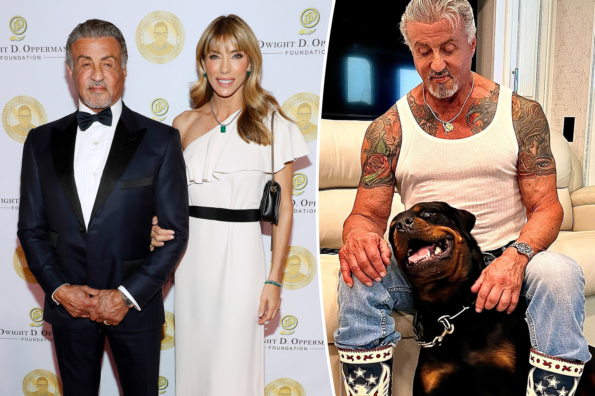 Sylvester Stallone Et L'art : Une Rencontre Mémorable Sylvester Stallone Et L'art : Une Rencontre Mémorable