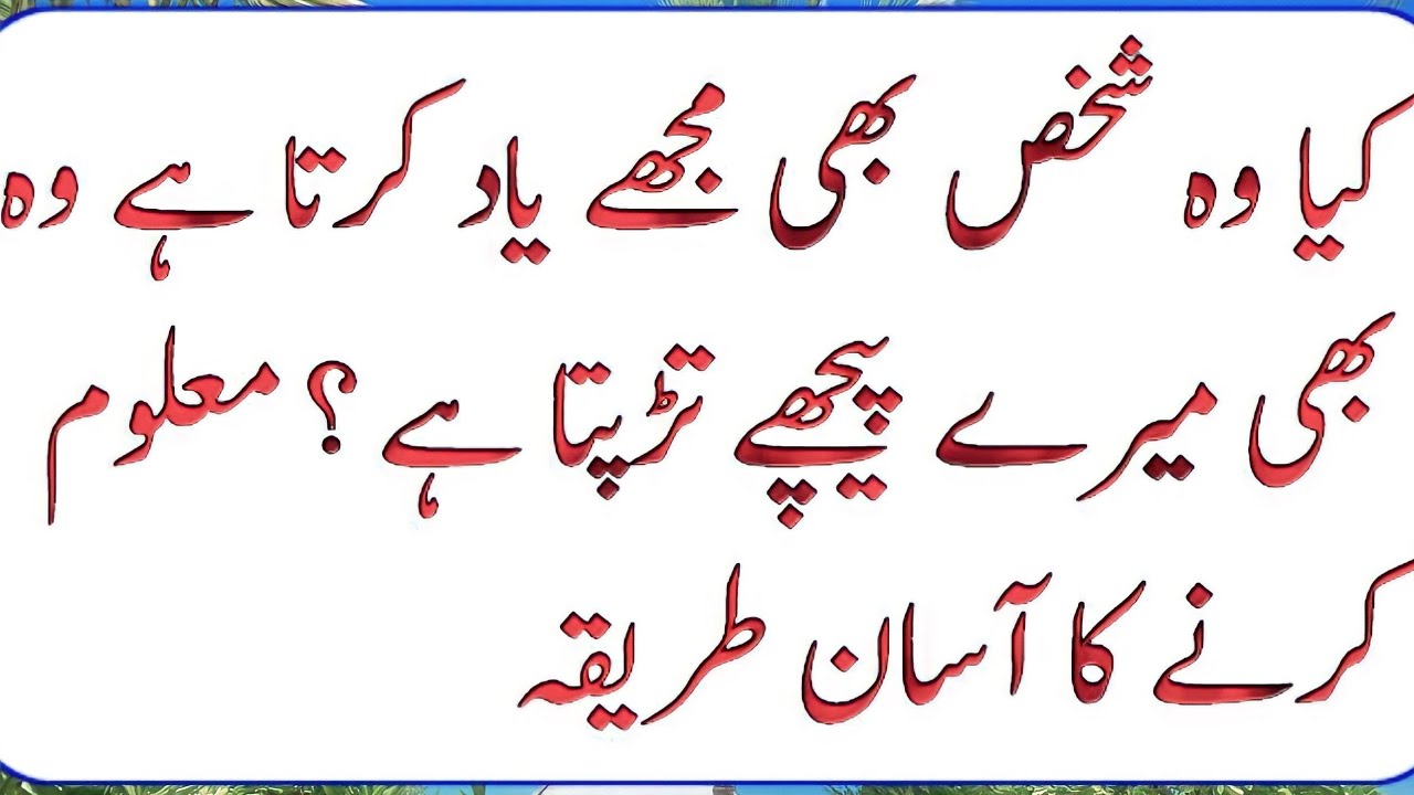 ٹام کروز کے جوتے پر مداح کا پاؤں: کیا ہوا؟ ٹام کروز کے جوتے پر مداح کا پاؤں: کیا ہوا؟
