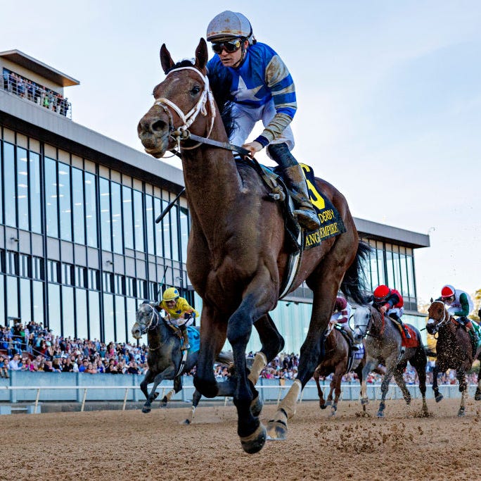 Tampa Bay Derby 2025: Betting Odds, Horse Profiles, And Kentucky Derby Projections Tampa Bay Derby 2025: Betting Odds, Horse Profiles, And Kentucky Derby Projections