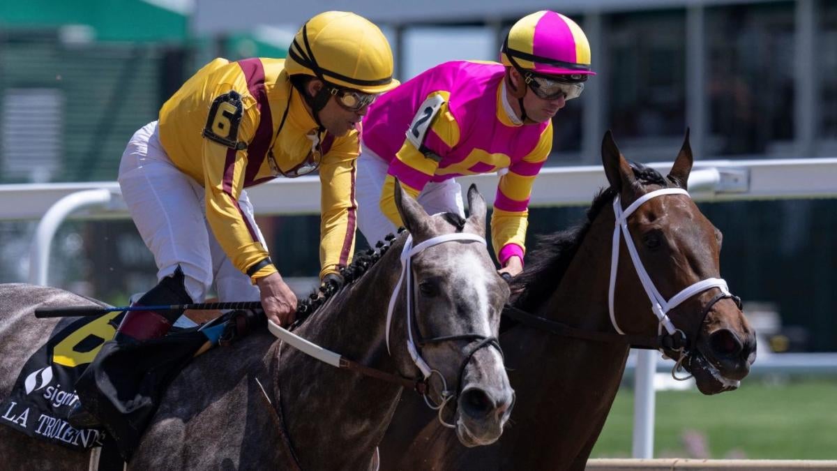 Tampa Bay Derby Odds & Field 2025: Your Guide To Kentucky Derby Hopefuls Tampa Bay Derby Odds & Field 2025: Your Guide To Kentucky Derby Hopefuls
