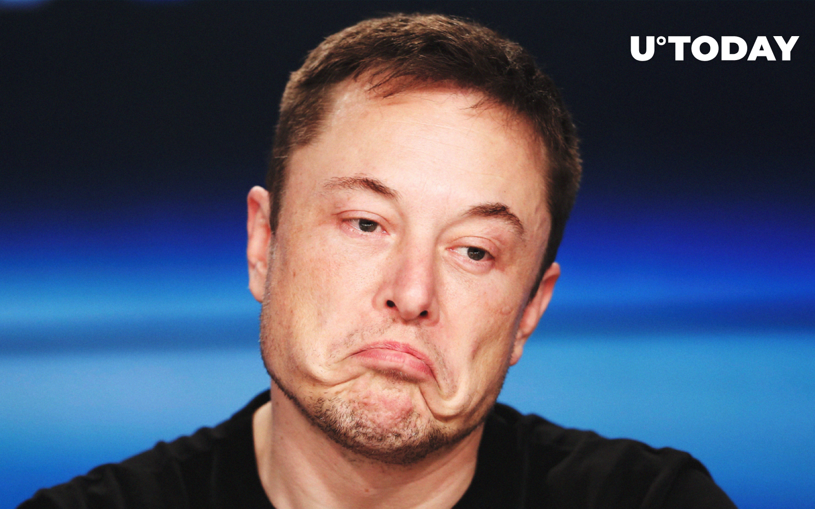 Tesla Stock Plunge: How Elon Musk's Actions Impact Dogecoin Tesla Stock Plunge: How Elon Musk's Actions Impact Dogecoin