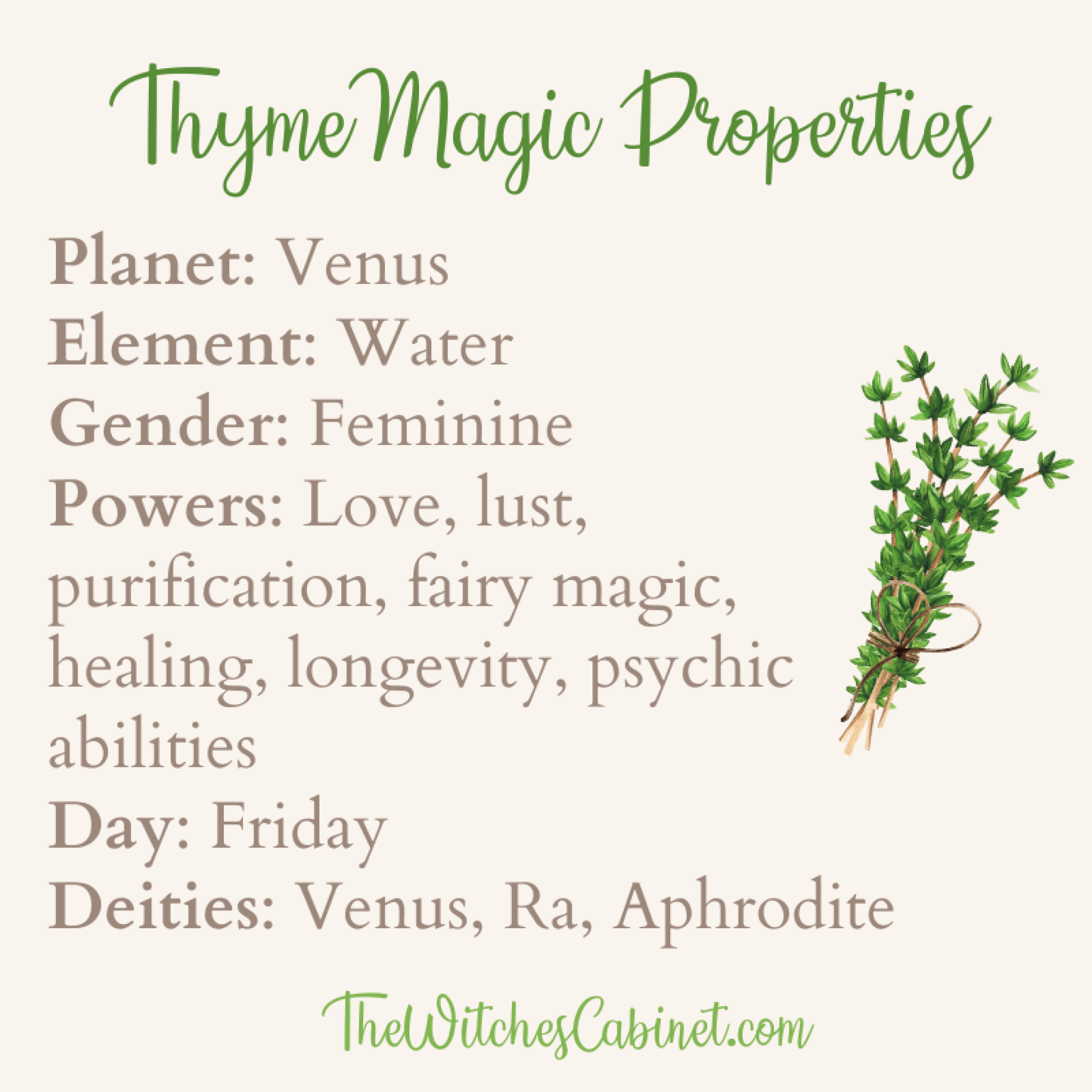 The Benefits Of Rosemary & Thyme: Uses In Cooking And Beyond The Benefits Of Rosemary & Thyme: Uses In Cooking And Beyond