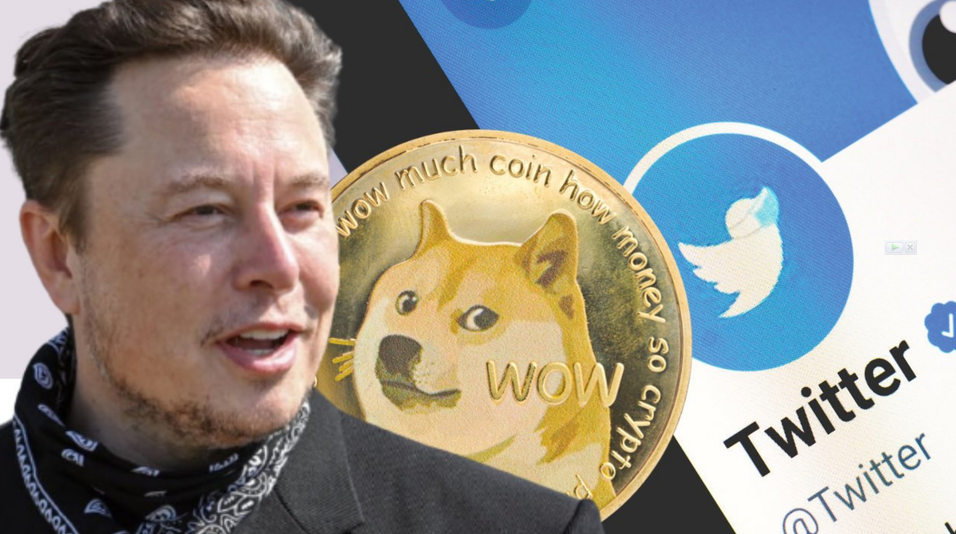 The Business Empire Rebuilt: Elon Musk's Post-Dogecoin Strategy The Business Empire Rebuilt: Elon Musk's Post-Dogecoin Strategy