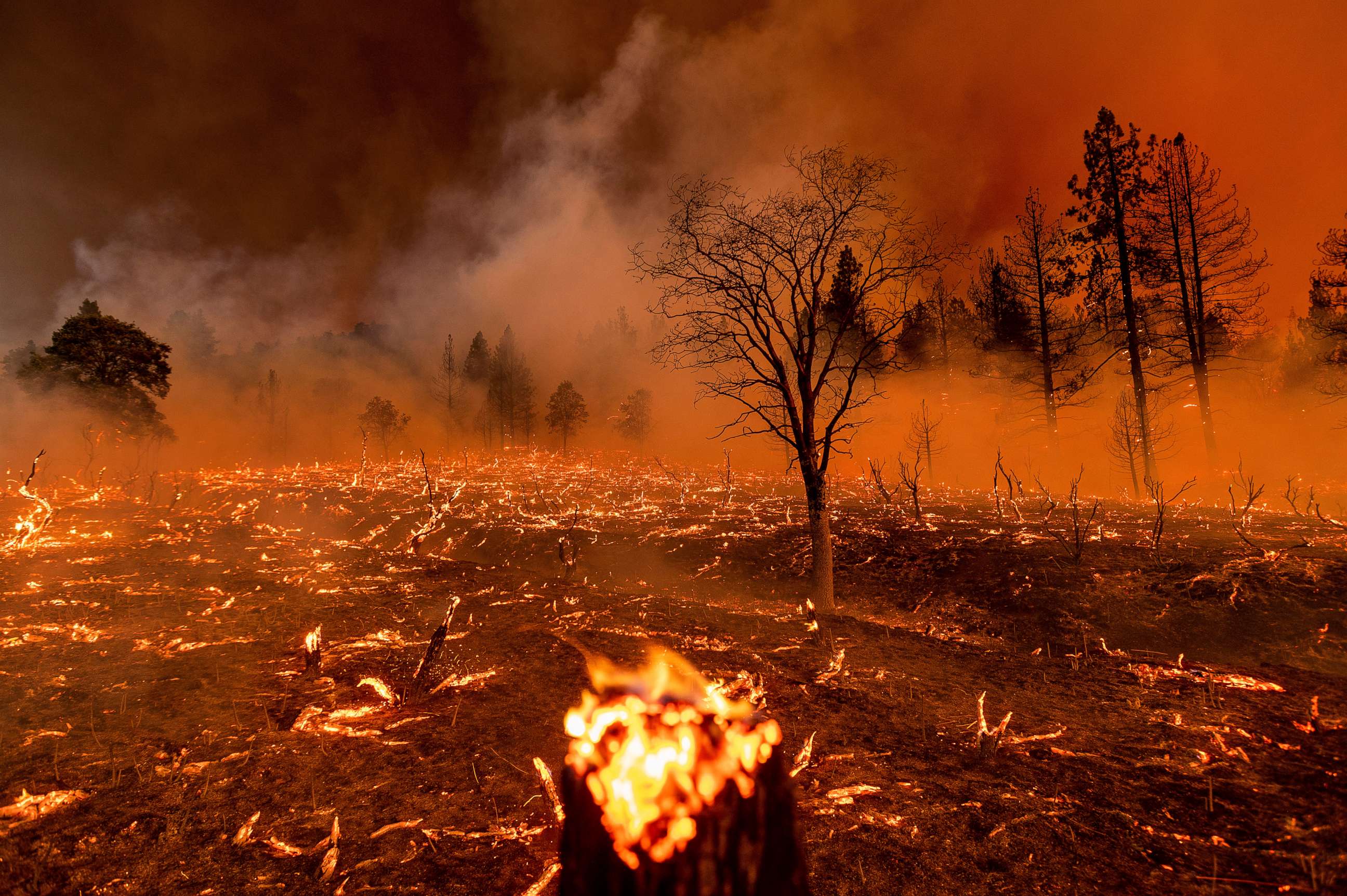 The Dark Side Of Betting:  Los Angeles Wildfires And The Gambling Industry