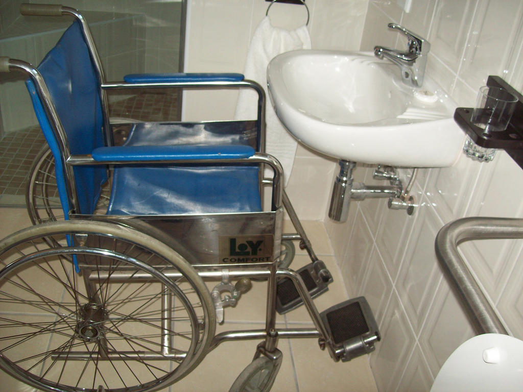 The Elizabeth Line: A Review Of Wheelchair User Experience The Elizabeth Line: A Review Of Wheelchair User Experience