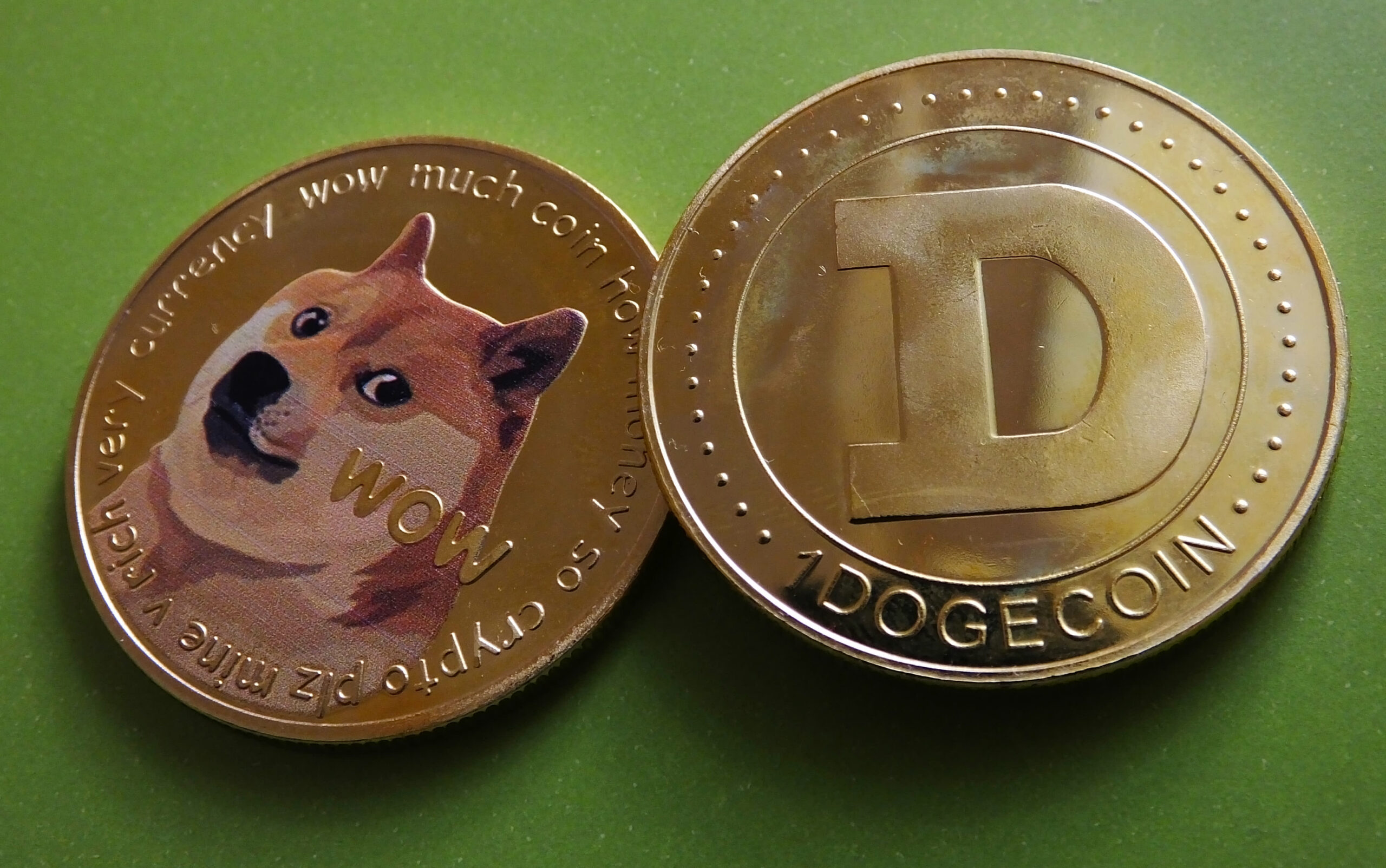 The Elon Musk-Dogecoin Relationship: A Complex Story The Elon Musk-Dogecoin Relationship: A Complex Story