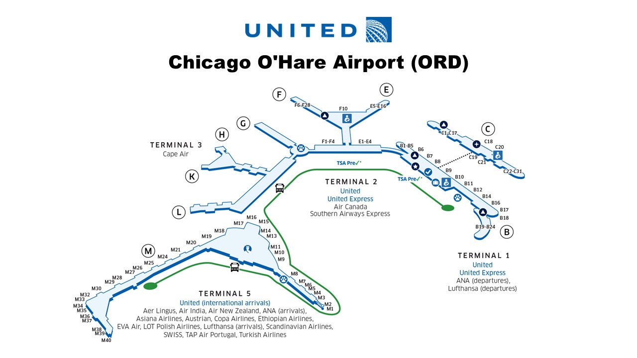 The Fight For O'Hare: United And American Airlines' Strategies For Airport Supremacy The Fight For O'Hare: United And American Airlines' Strategies For Airport Supremacy