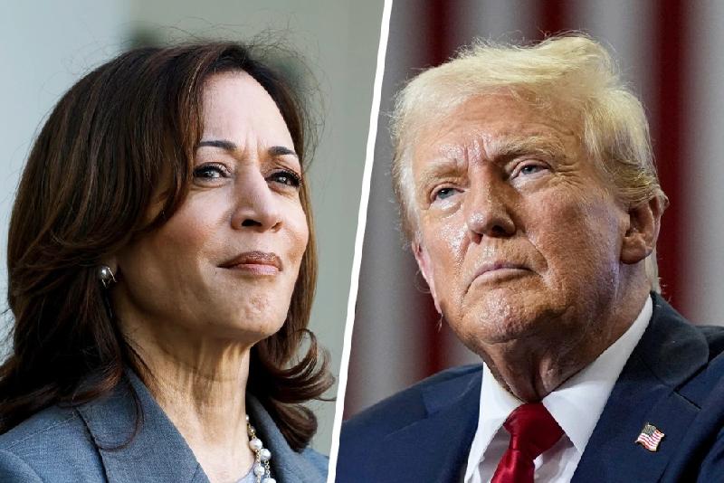 The Future Of Kamala Harris: A Look At Her Potential Political Paths The Future Of Kamala Harris: A Look At Her Potential Political Paths