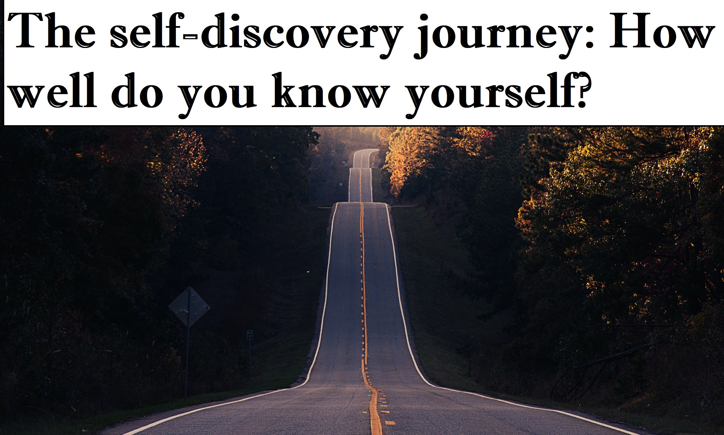The Good Life: A Journey Of Self-Discovery And Growth The Good Life: A Journey Of Self-Discovery And Growth