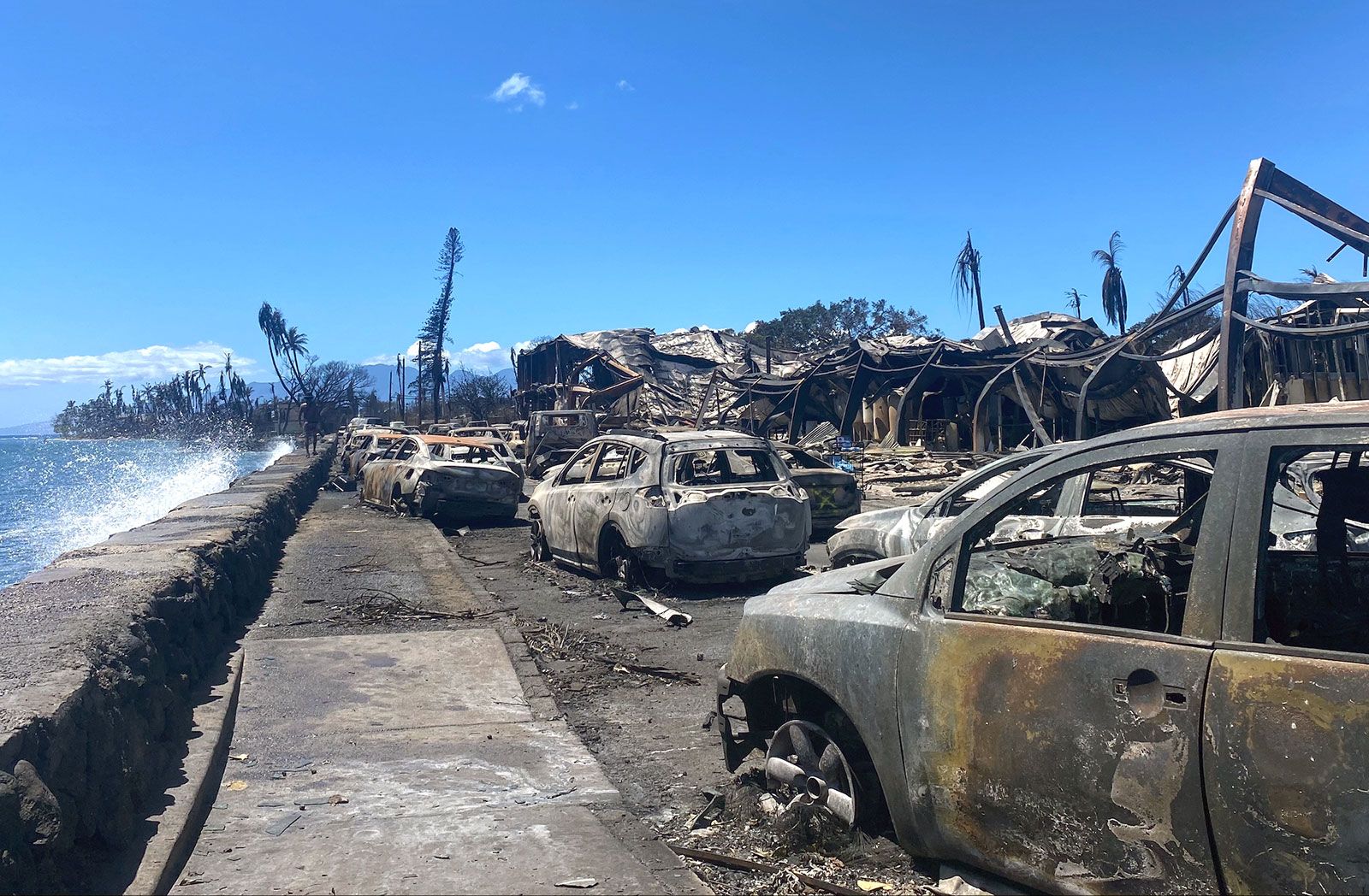 The Growing Trend Of Betting On Natural Disasters: The Case Of The LA Wildfires The Growing Trend Of Betting On Natural Disasters: The Case Of The LA Wildfires