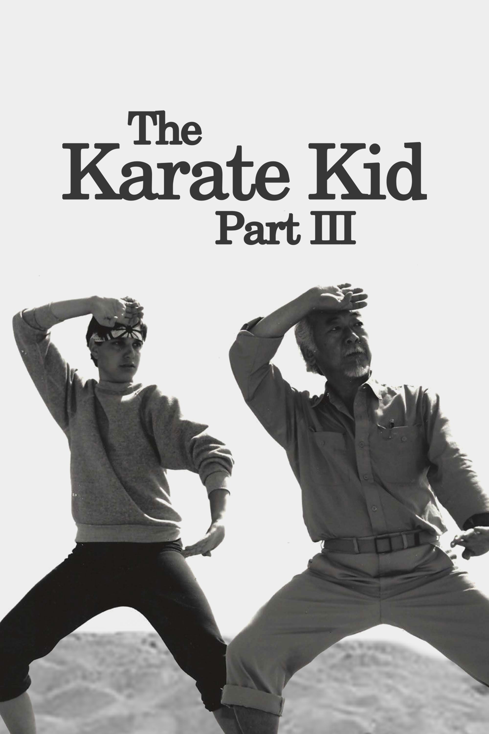 The Karate Kid Part III: Box Office Performance And Critical Reception The Karate Kid Part III: Box Office Performance And Critical Reception