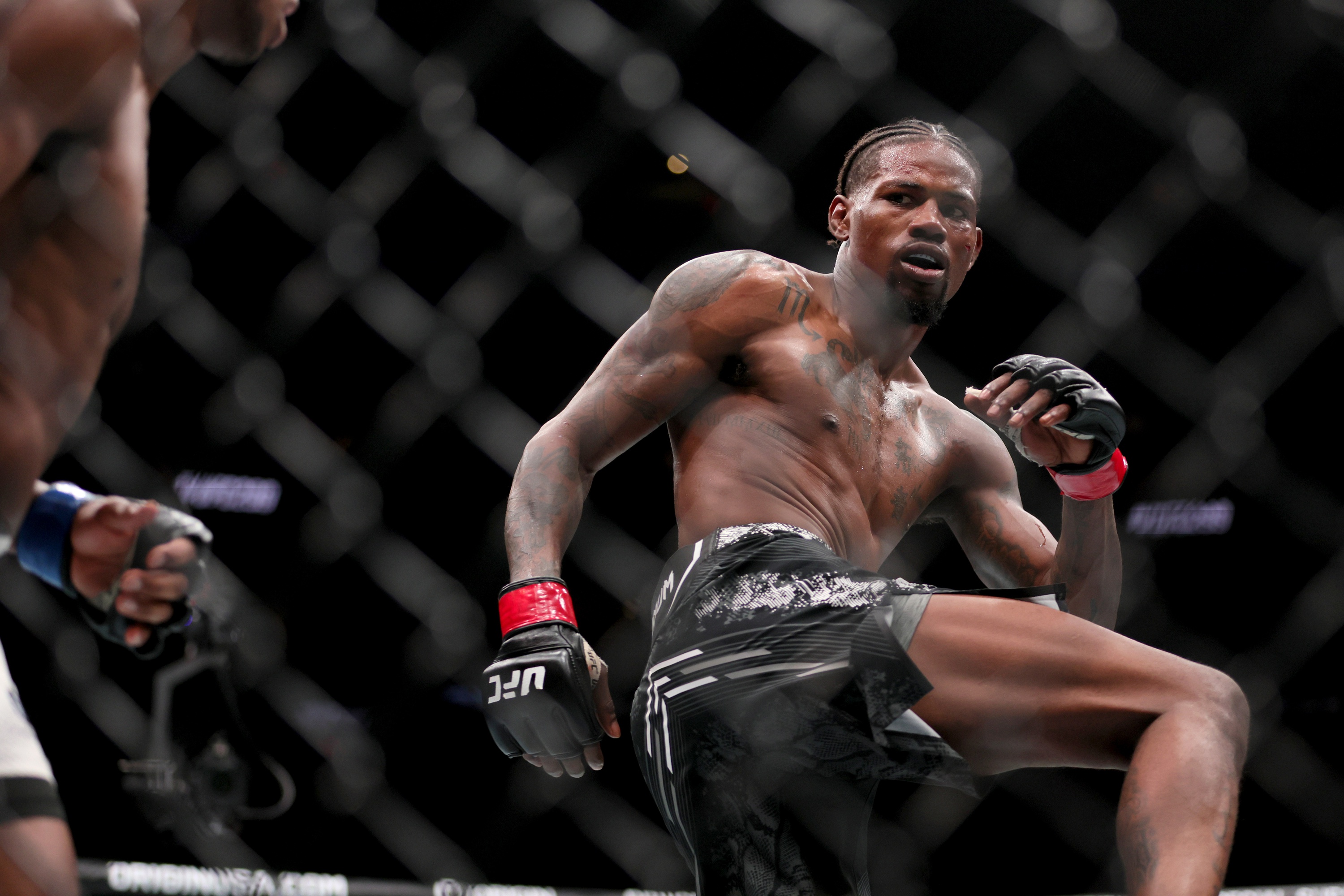 The Kevin Holland Story: A Detailed Look At His UFC Journey And Recent Struggles The Kevin Holland Story: A Detailed Look At His UFC Journey And Recent Struggles