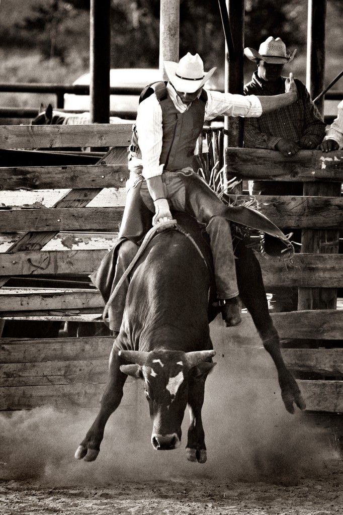The Last Rodeo Movie Review: Honest And Emotional The Last Rodeo Movie Review: Honest And Emotional