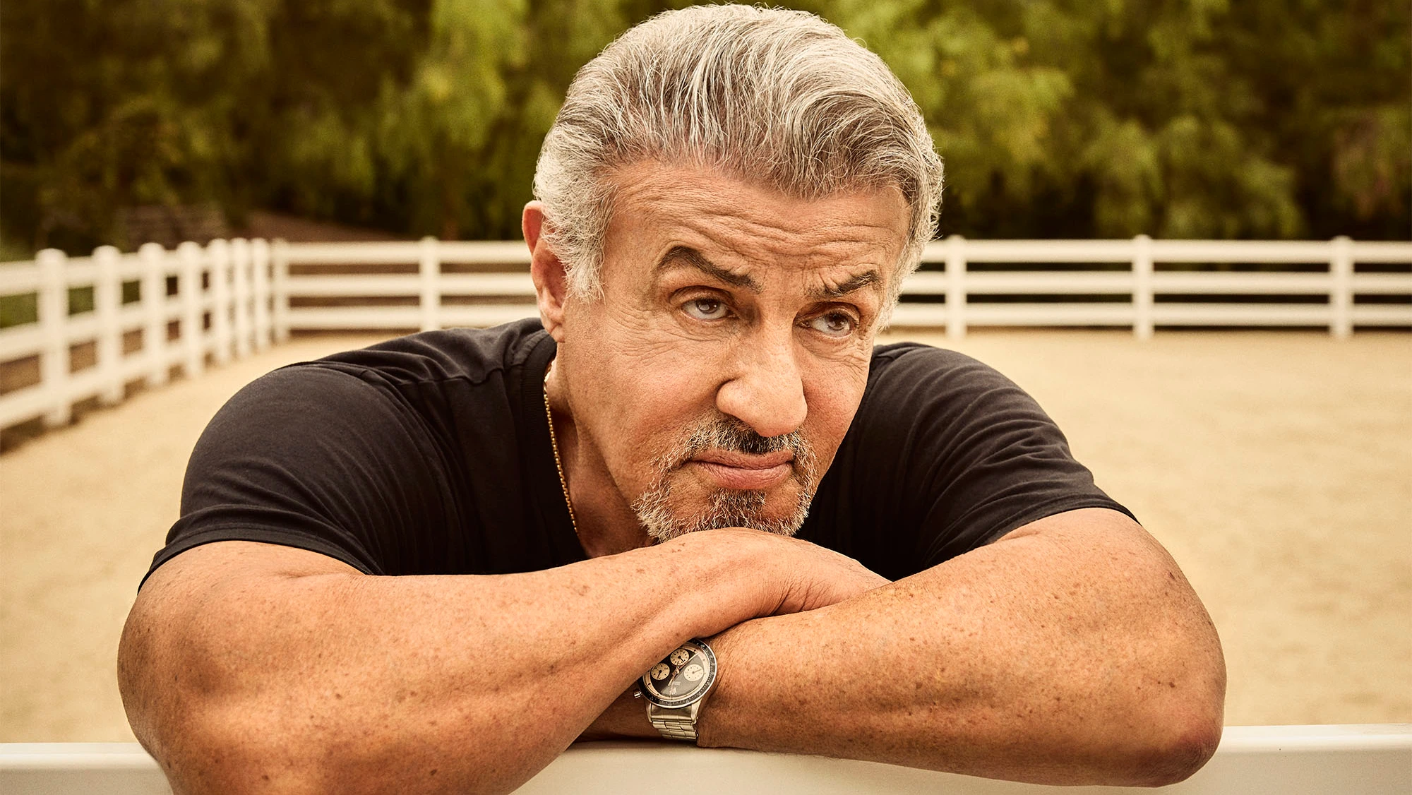 The One Movie Sylvester Stallone Directed But Didn't Star In: A Commercial Disaster The One Movie Sylvester Stallone Directed But Didn't Star In: A Commercial Disaster