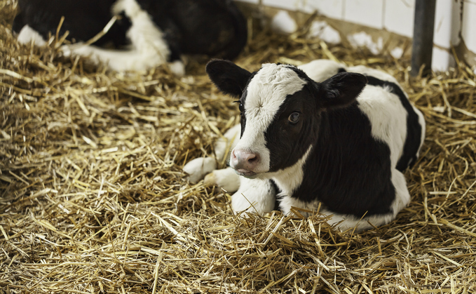 The Reform UK Pledge To Farmers: Can They Deliver? The Reform UK Pledge To Farmers: Can They Deliver?
