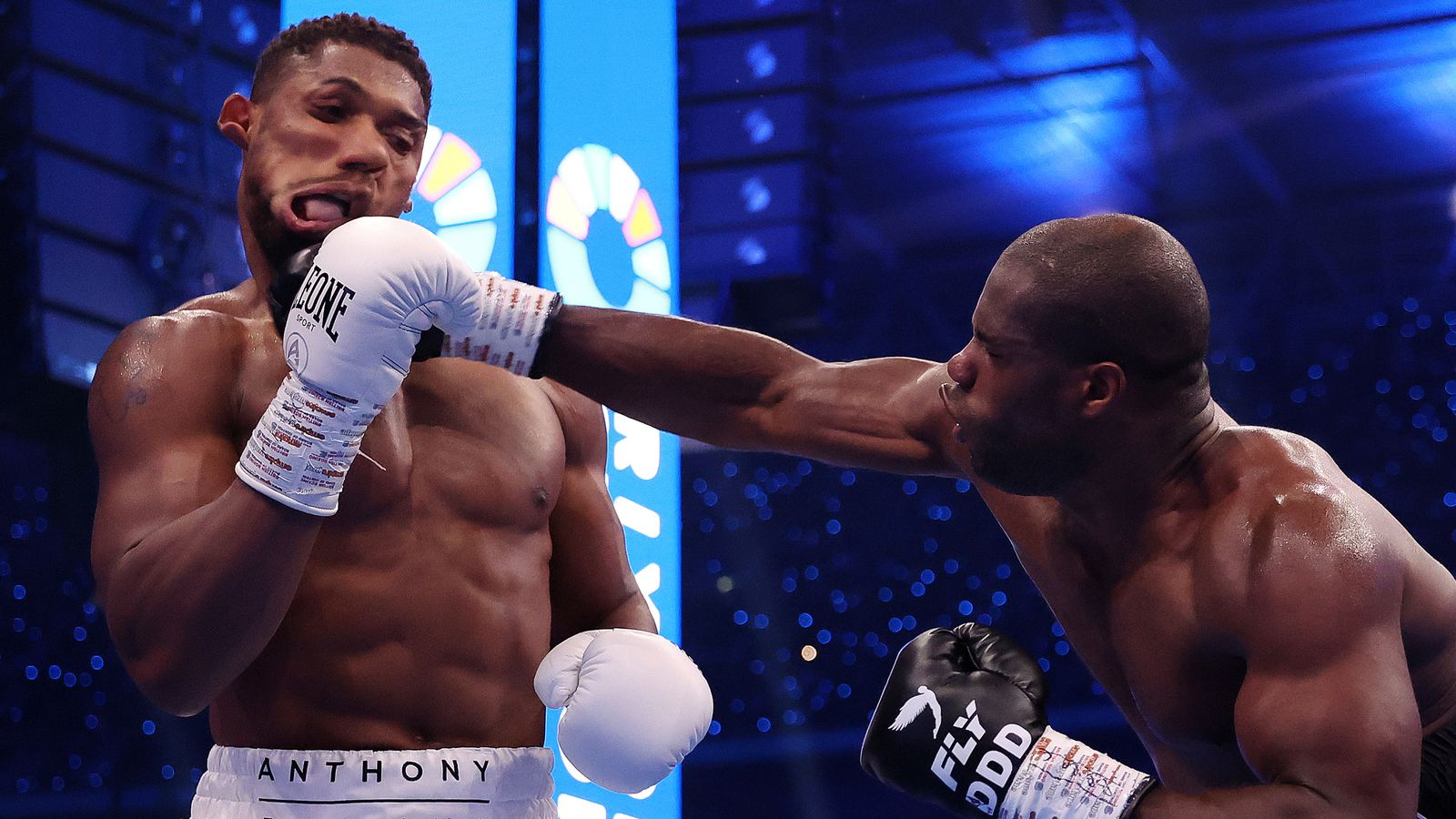 The Reluctant Warrior: Berlanga's Knockout Win The Reluctant Warrior: Berlanga's Knockout Win