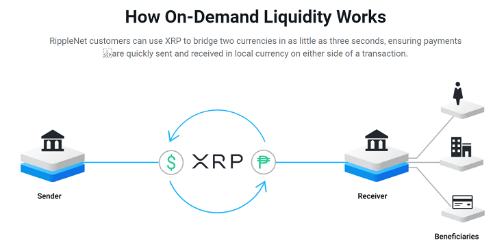 The Ripple (XRP) Phenomenon: Can You Become A Millionaire? The Ripple (XRP) Phenomenon: Can You Become A Millionaire?