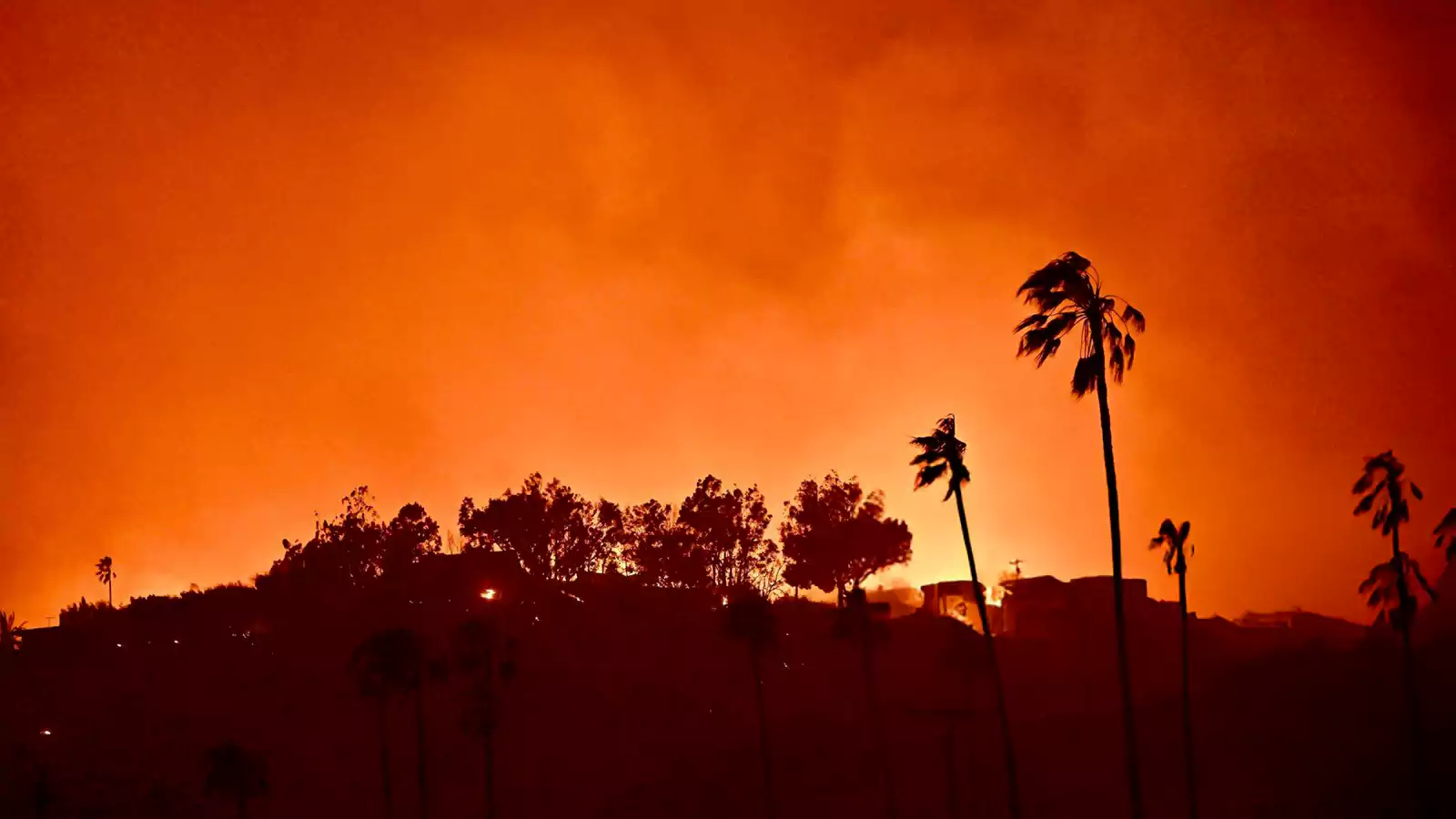 The Rise Of Disaster Betting: Examining The Case Of The Los Angeles Wildfires The Rise Of Disaster Betting: Examining The Case Of The Los Angeles Wildfires