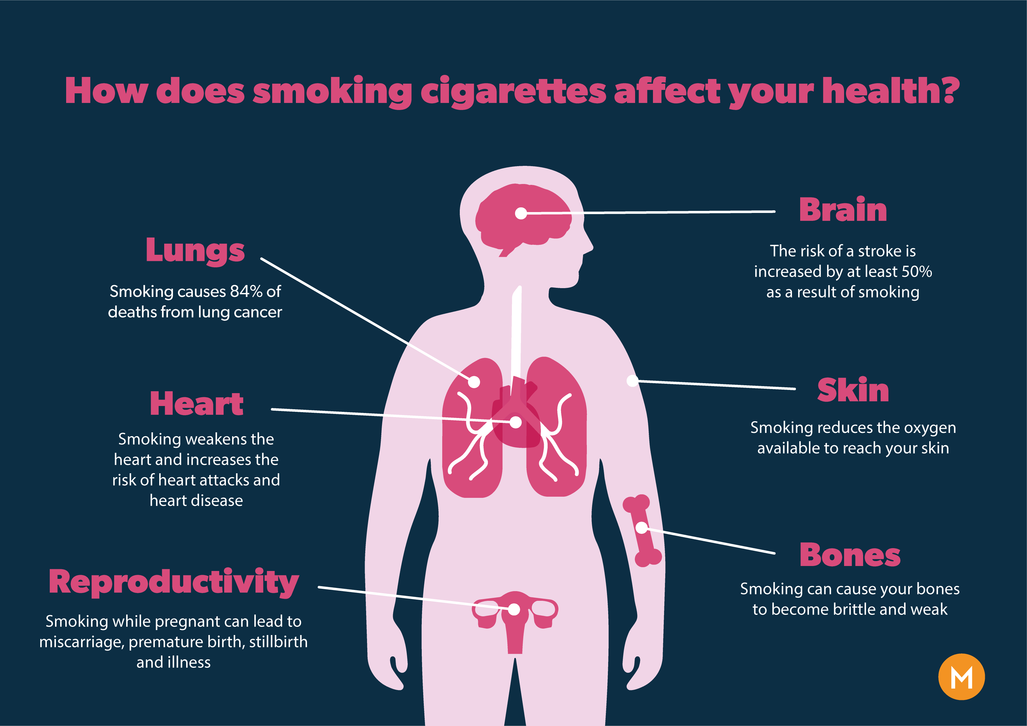 The Silent Killer: Doctor Says This Food Is Worse Than Smoking The Silent Killer: Doctor Says This Food Is Worse Than Smoking