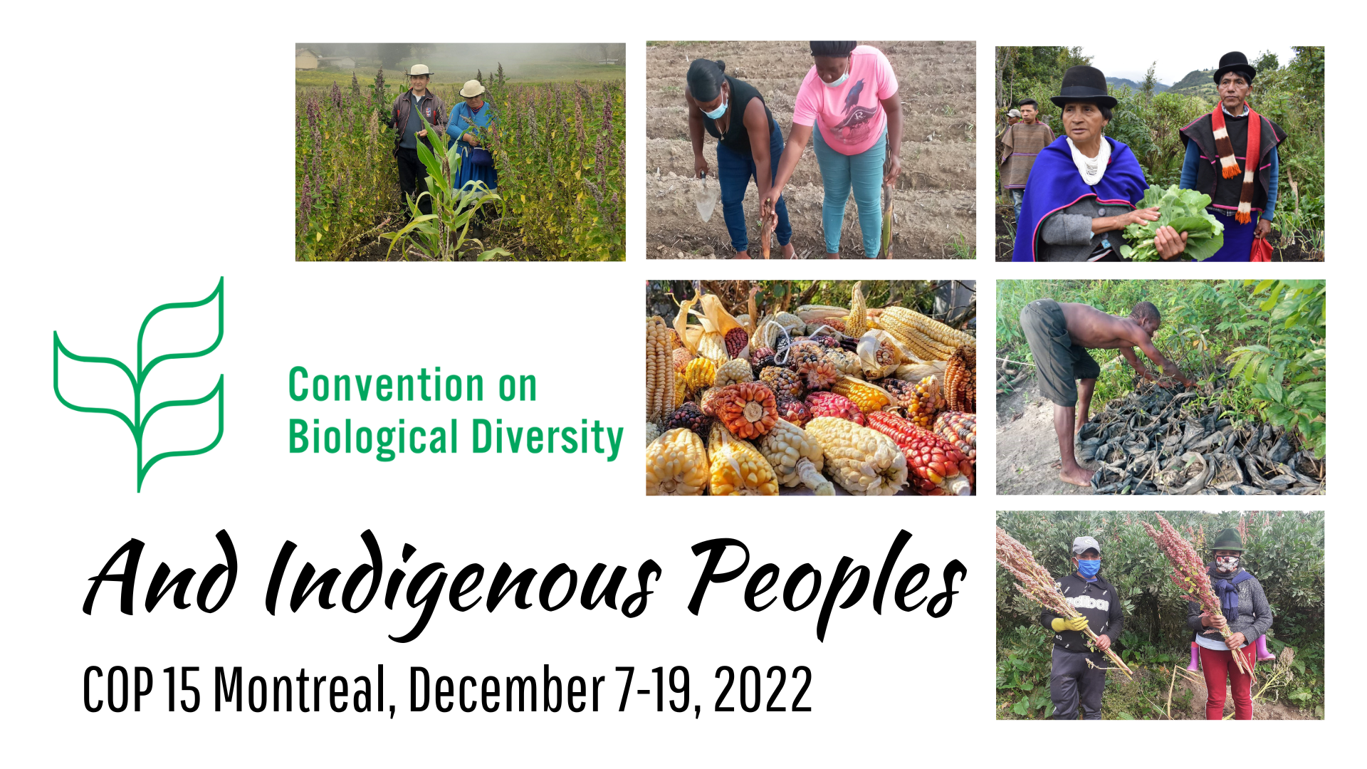 The Struggle For Data Control: Indigenous Scientists And Cultural Heritage The Struggle For Data Control: Indigenous Scientists And Cultural Heritage