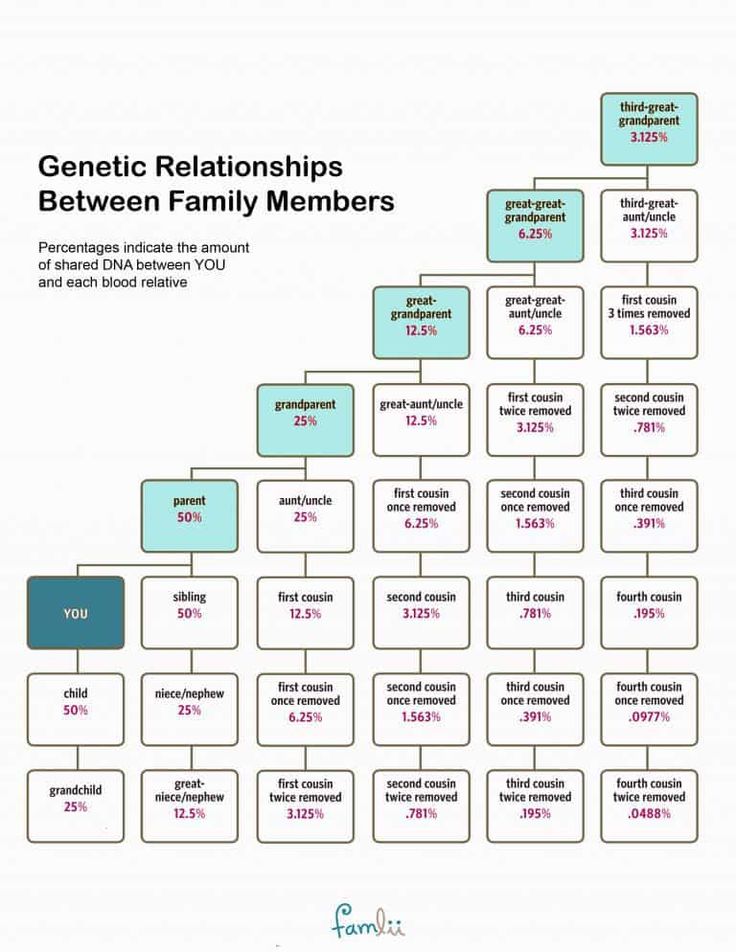 The Trump Family: Genealogy And Relationships Of Donald Trump's Relatives The Trump Family: Genealogy And Relationships Of Donald Trump's Relatives