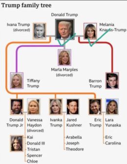 The Trump Family Tree: A Look At The Newest Addition, Baby Alexander The Trump Family Tree: A Look At The Newest Addition, Baby Alexander
