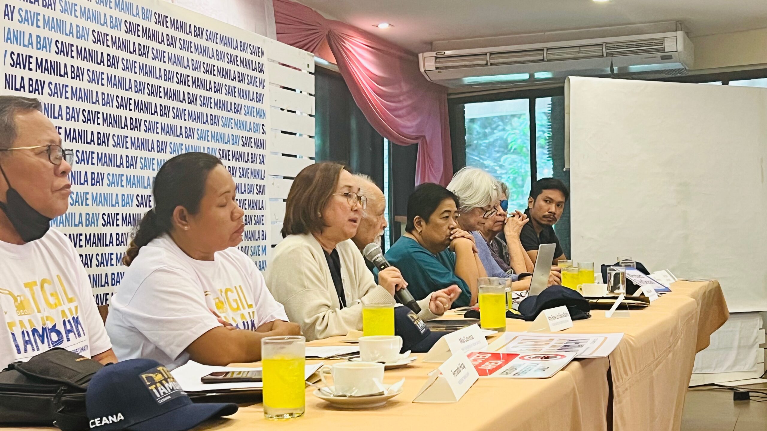 Threats To Manila Bay's Vibrant Ecosystem And Its Future