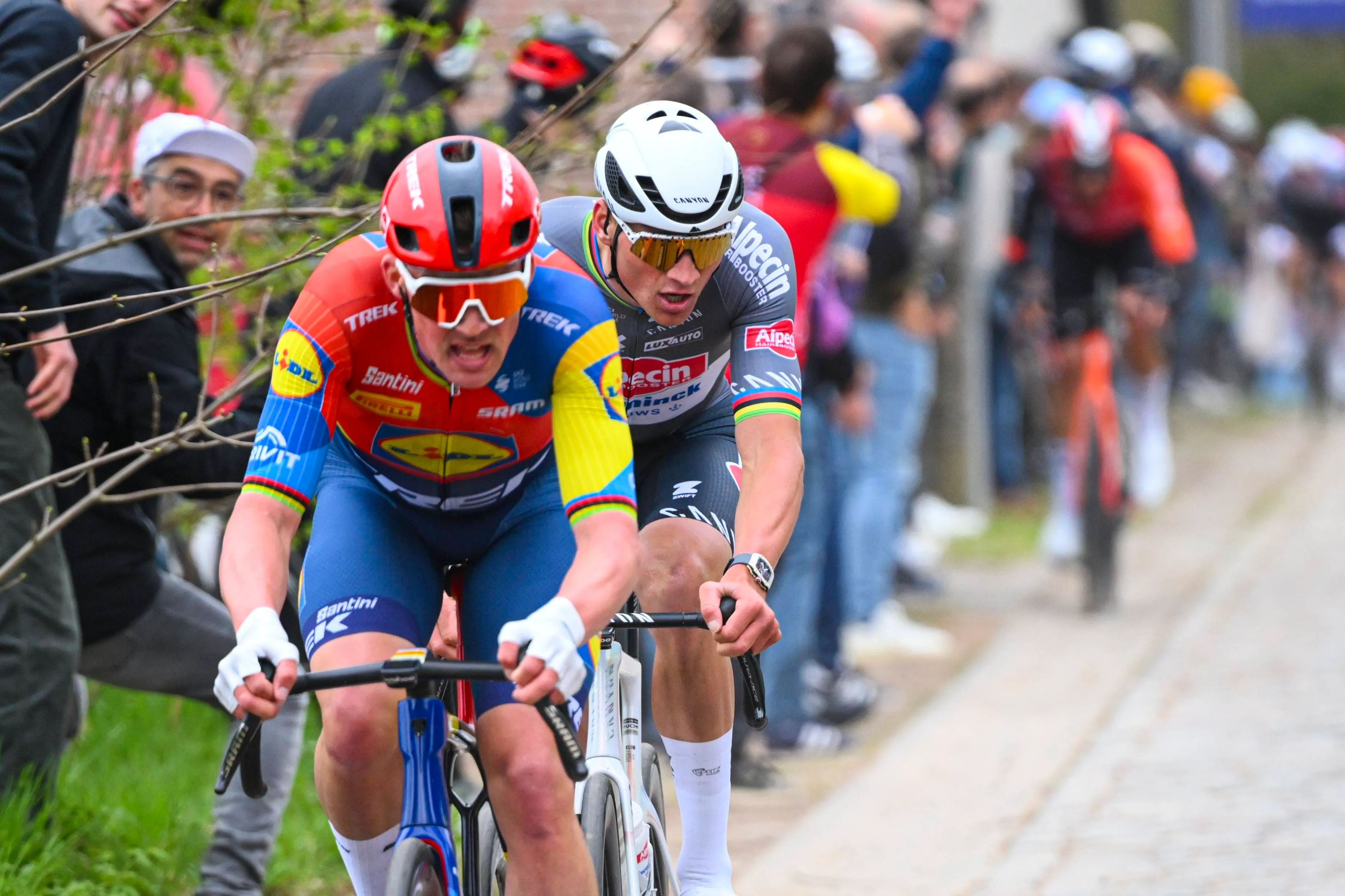 Tour Of Flanders: Pogačar's Solo Victory, Van Der Poel's Strong Second Tour Of Flanders: Pogačar's Solo Victory, Van Der Poel's Strong Second