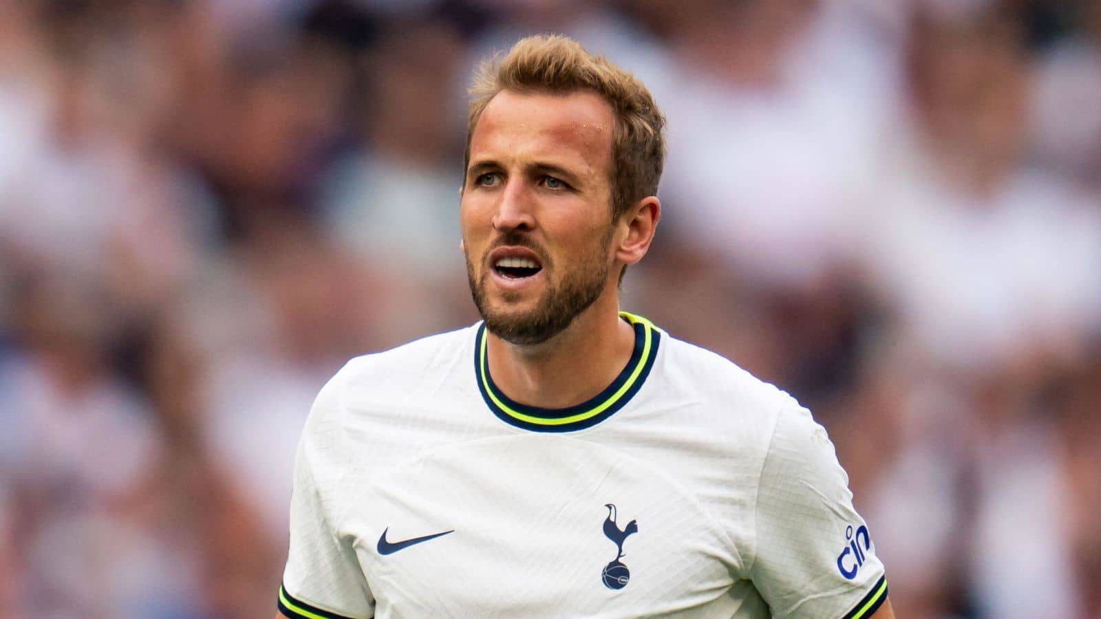 Transfer Race Heats Up: Tottenham And Crystal Palace Target Youngster Transfer Race Heats Up: Tottenham And Crystal Palace Target Youngster