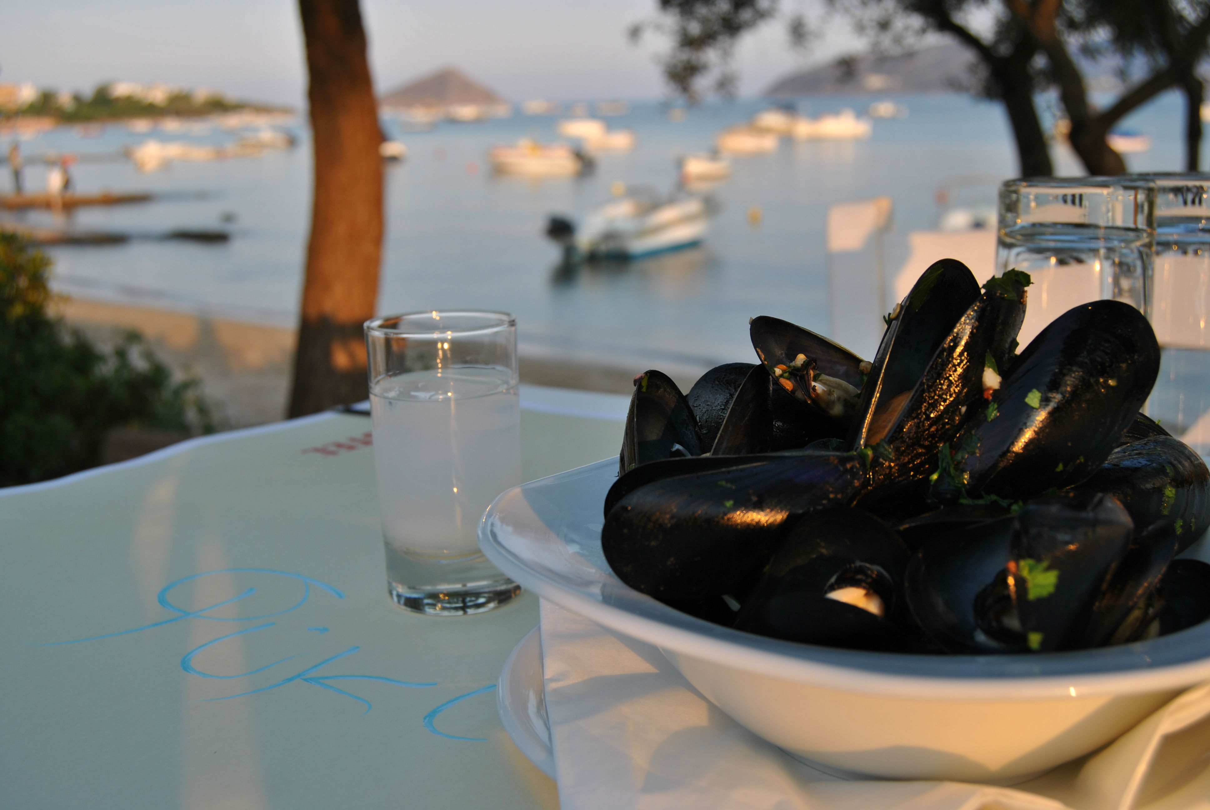 Τρόμος Σε Πόρτο Ράφτη Και Αθήνα: Ληστείες Σε Μονοκατοικίες