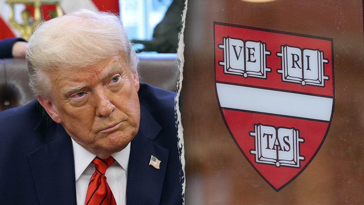 Trump's Trade School Initiative: A $3 Billion Shift From Harvard Funding? Trump's Trade School Initiative: A $3 Billion Shift From Harvard Funding?