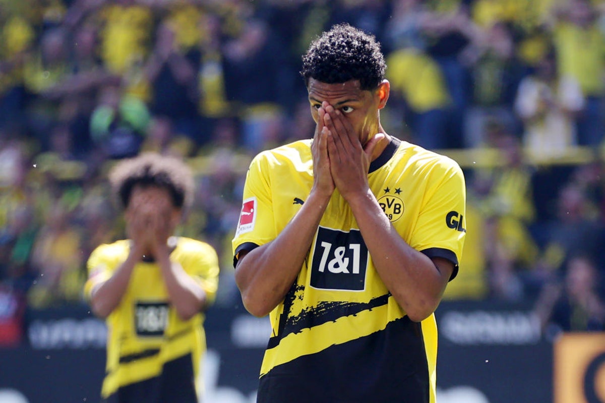 Two Goals From Beier Power Dortmund Past Mainz Two Goals From Beier Power Dortmund Past Mainz