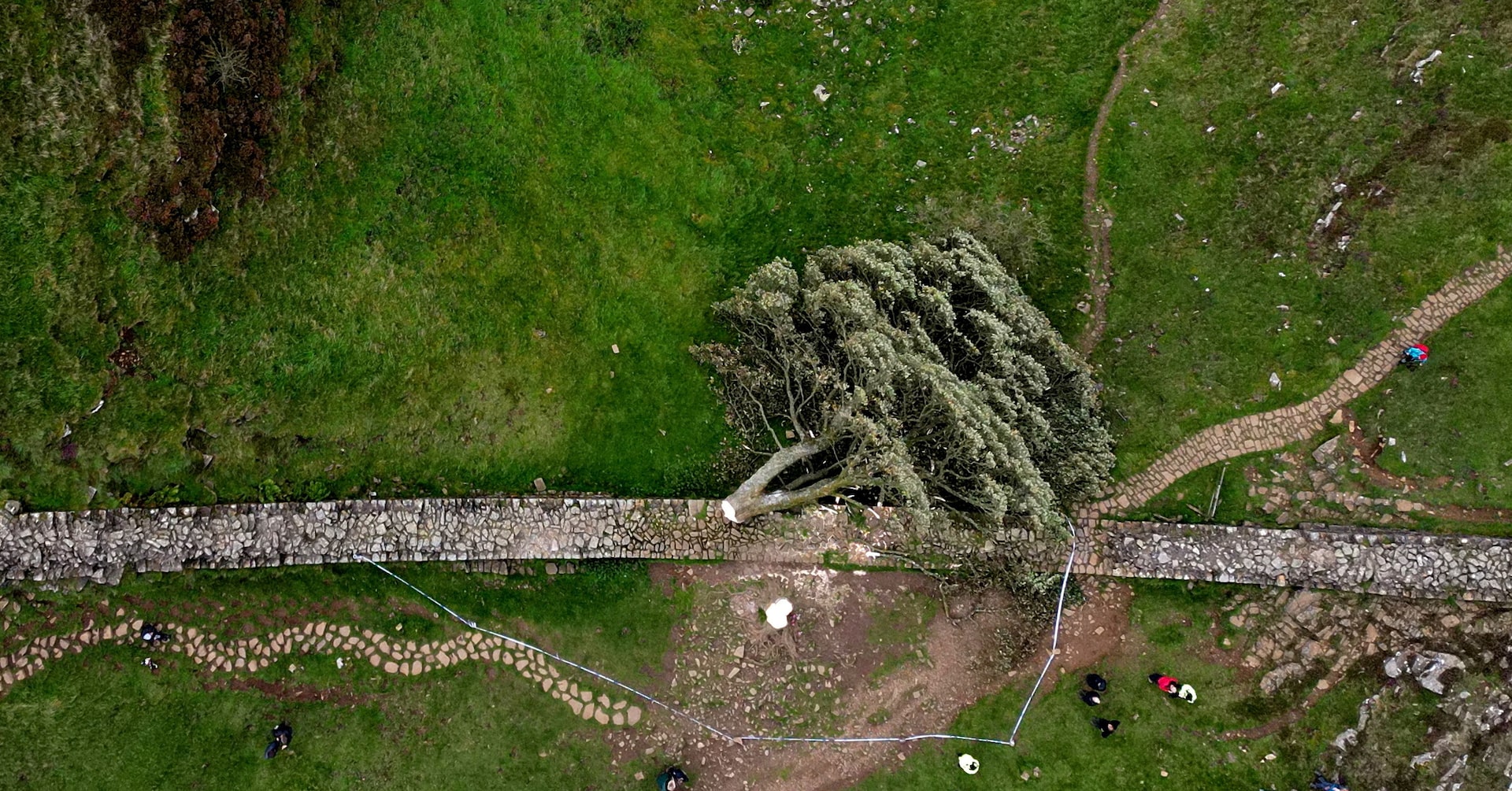 Two Men Convicted For Destroying Sycamore Gap Tree Two Men Convicted For Destroying Sycamore Gap Tree
