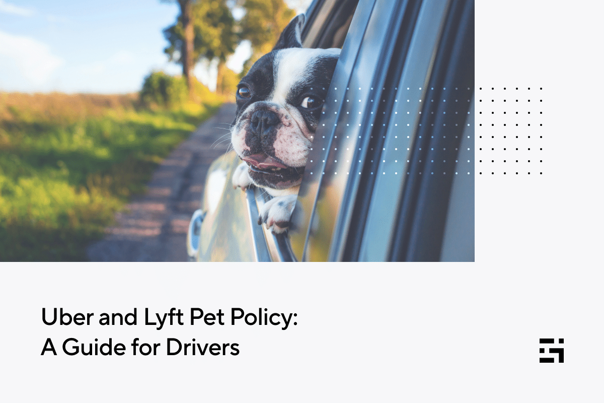 Uber Pet Policy In Mumbai: Everything You Need To Know Uber Pet Policy In Mumbai: Everything You Need To Know