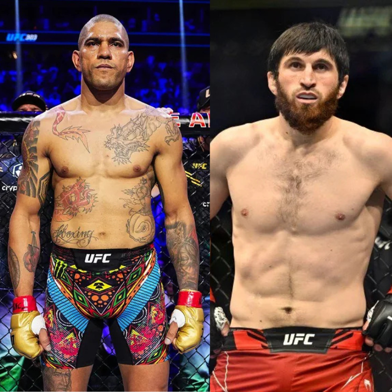 UFC 313 Knockouts And Submissions: A Complete Recap UFC 313 Knockouts And Submissions: A Complete Recap