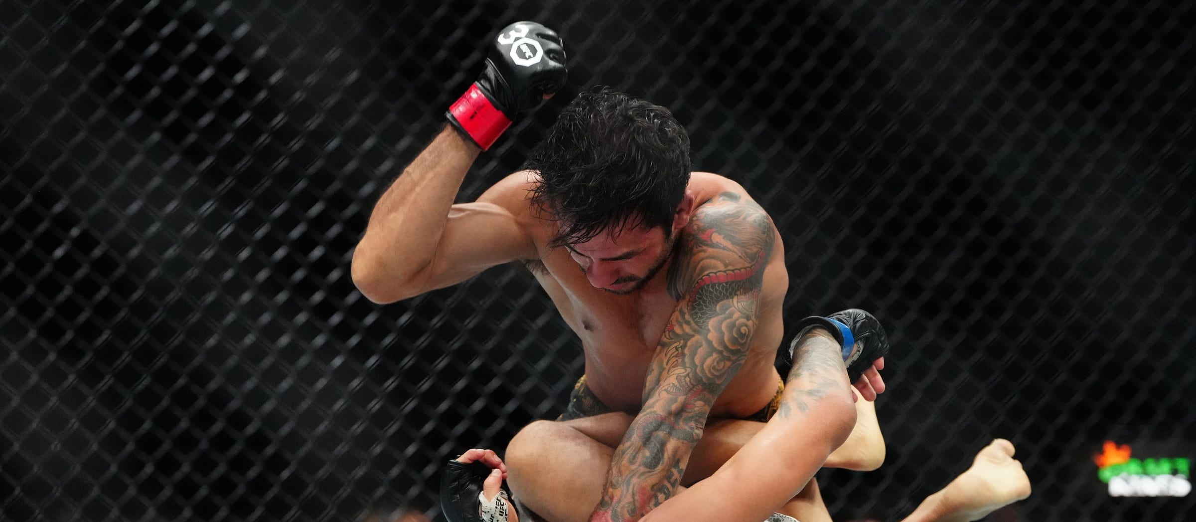 UFC 313: The Ultimate MMA Mashup Preview UFC 313: The Ultimate MMA Mashup Preview