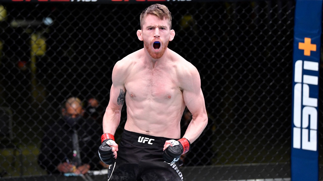 UFC Fight Night: Sandhagen Vs. Figueiredo – A Comprehensive Fight Breakdown And Predictions UFC Fight Night: Sandhagen Vs. Figueiredo – A Comprehensive Fight Breakdown And Predictions