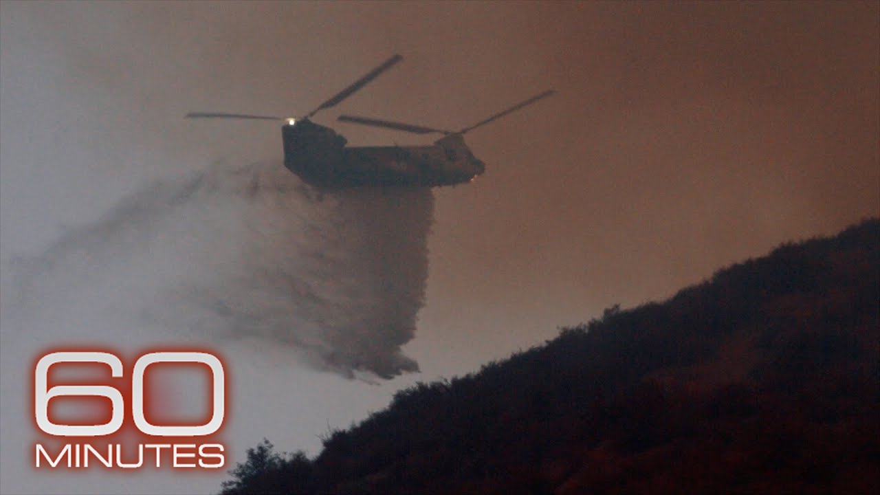 UK's Rarest Animals: A Fight For Survival Against Wildfires UK's Rarest Animals: A Fight For Survival Against Wildfires