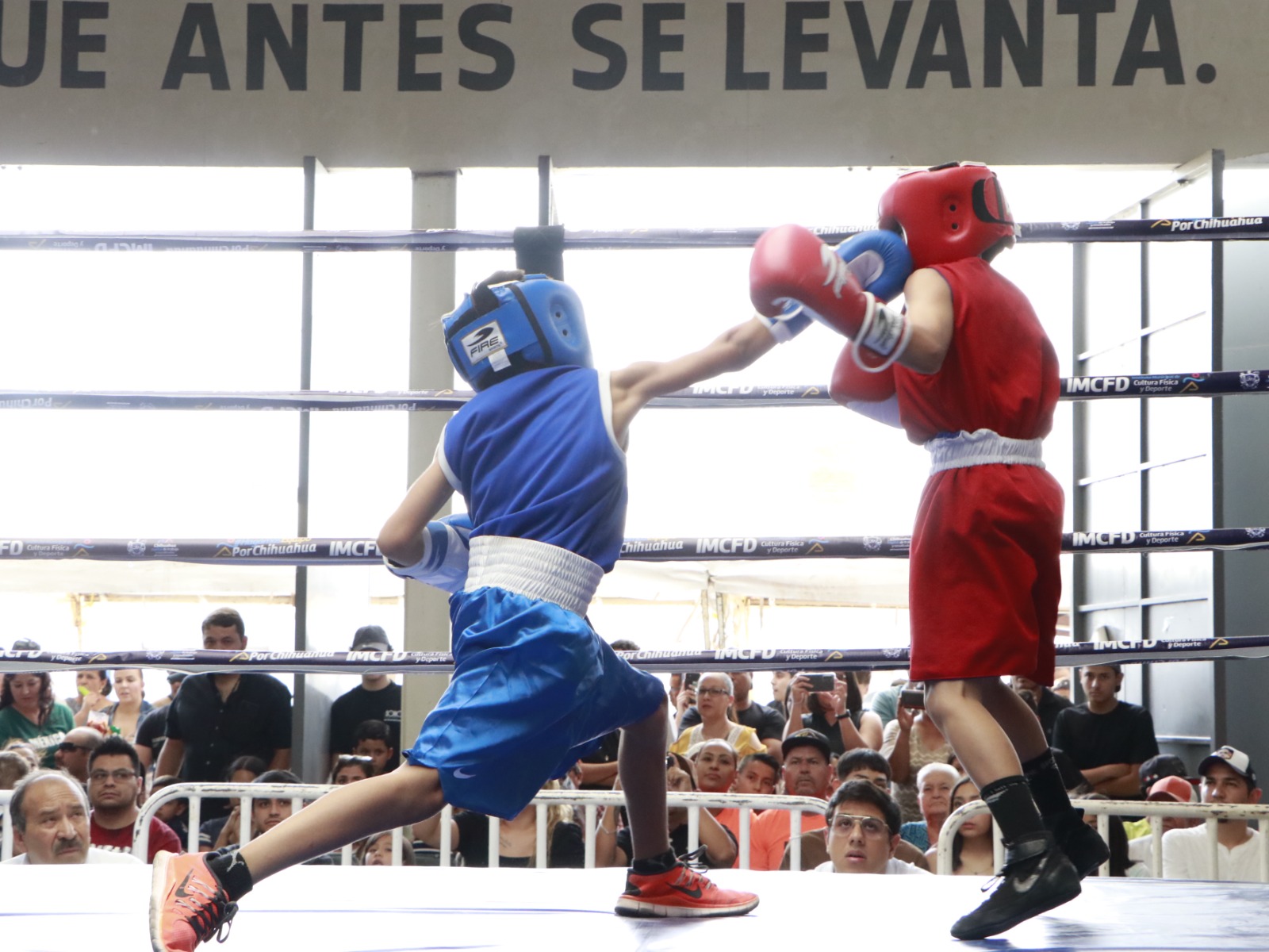 ¡Últimos 3 Días! Clases De Boxeo En El Edomex ¡Últimos 3 Días! Clases De Boxeo En El Edomex
