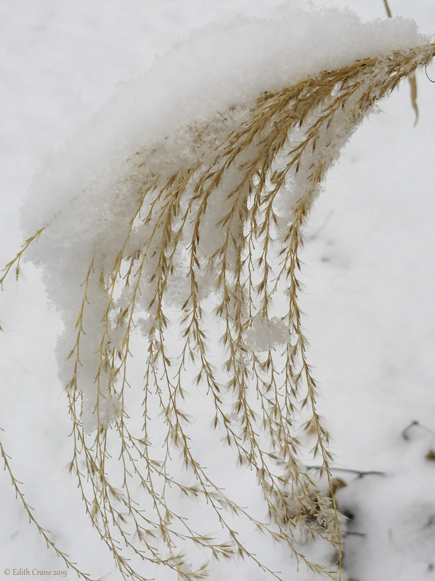 Understanding A Developing Wintry Mix Of Precipitation Understanding A Developing Wintry Mix Of Precipitation
