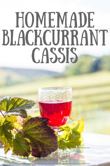 Understanding Cassis Blackcurrant Production Understanding Cassis Blackcurrant Production